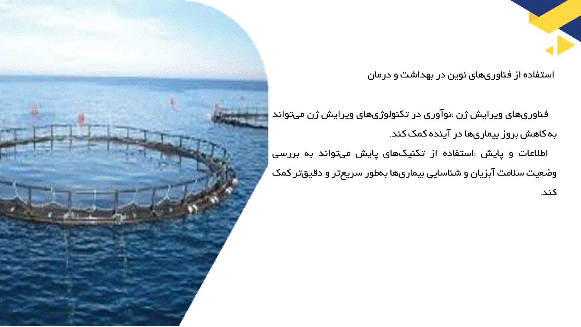 پاورپوینت در مورد بررسی کاربردهای دارویی آبزیان